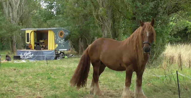 photo  la roulotte de la bulle ambu’lente et son cheval eole reviendront au port maillard à la daguenière, mardi 19 août.  &copy;  dr 