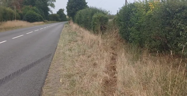 photo  quatre jeunes saboliens étaient dans la voiture accidentée, un est décédé sur place, un autre est grièvement blessé.  &copy;  ouest-france 