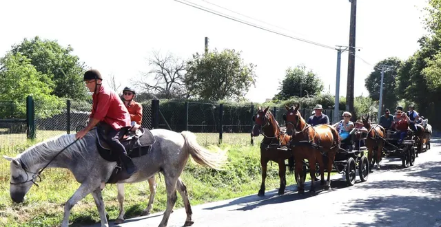 photo  le bruit des sabots sur le bitume, un spectacle qui ne laisse personne indifférent.  &copy;  le maine libre 