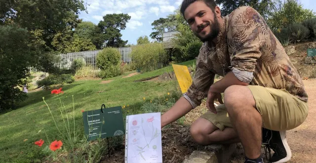 photo  animateur au jardin camifolia, à chemillé-en-anjou (maine-et-loire) lucas bourguoin est fasciné par la méticulosité du travail mené pendant vingt ans par henri david pour dessiner son herbier.  &copy;  ouest-france 