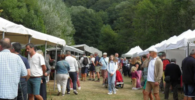 photo  l’espace littérature avait été bien fréquenté l’année dernière.  &copy;  ouest-france 
