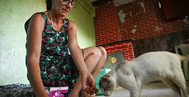 photo  angers, le 1er juillet 2025. chloé roussel, vice-présidente de l’association une patte dans la main, est famille d’accueil pour henri.  &copy;  co - laurent combet 