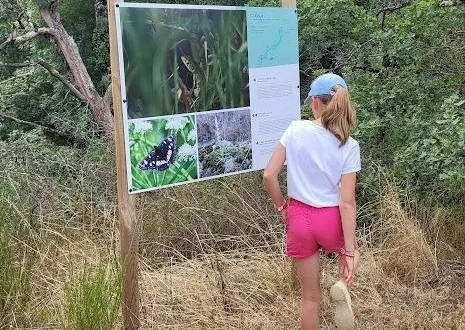 photo  un nouveau sentier présentant la biodiversité des bords de l’hyrôme a récemment été ouvert à chanzeaux.  &copy;  co 