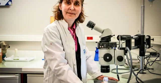 photo  fabienne lagarde est enseignante-chercheuse à le mans université.  &copy;  archives le maine libre yvon loué 