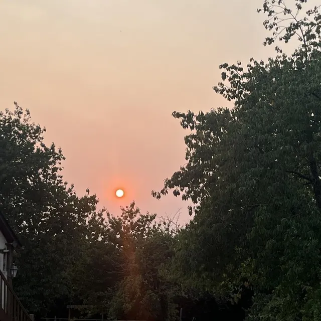 photo un ciel jaune, orangé au-dessus de l’orne, ce samedi 16 août 2025.  ©  ouest-france