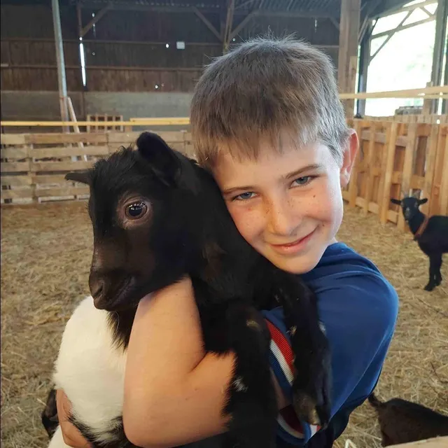La ferme Ani’May accueille aujourd’hui des lapins, des cochons d’Inde, des chèvres, des moutons d’Ouessant mais aussi des ânes, des poneys, des cochons, des juments et des vaches. Cindy Moal photo la ferme ani’may accueille aujourd’hui des lapins, des cochons d’inde, des chèvres, des moutons d’ouessant mais aussi des ânes, des poneys, des cochons, des juments et des vaches. © cindy moal