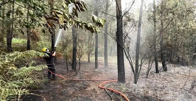 photo  l’homme âgé de 30 ans a reconnu être à l’origine d’une partie des feux de forêt ayant touché le saumurois depuis mi-juillet.  &copy;  archives ouest-france 