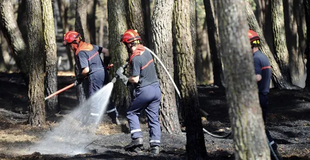 photo  entre fin juillet et mi-août 2025, les communes de mouliherne, longué-jumelles et la lande-chasles (maine-et-loire) ont été le théâtre d’une quinzaine de départs de feu. ?  &copy;  archives le maine libre – hervé petitbon 