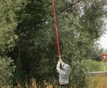 photo  le gérant d’aden environnement est venu à bout du nid de frelons bordant l’a11.  &copy;  ouest-france 