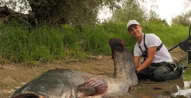 photo  le jeune homme de 19 ans a sorti de l’eau un silure de 2,44 m, mercredi 20 août, entre angers et bouchemaine.  &copy;  document remis | kévin chauvin 