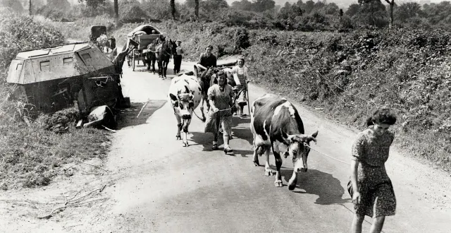 photo  après le débarquement du 6 juin 1944, puis les combats entre les alliés et les allemands. partout en normandie, des civils français rentrent chez eux en août 1944, avec leurs vaches et les quelques affaires emportées sur les routes de l’évacuation.  &copy;  iwm 