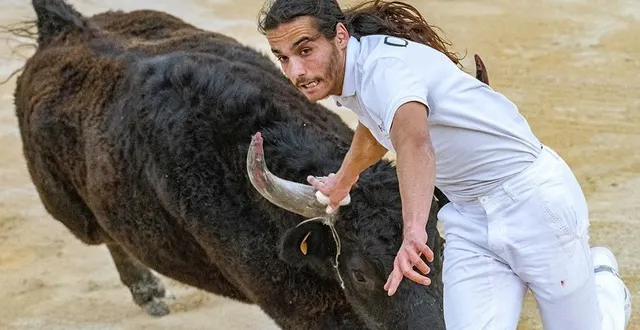 photo  une course camarguaise, prise par un membre de la focale 49.  &copy;  focale 49 