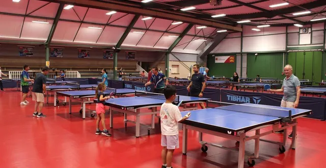 photo  opération ping à la salle emeric martin d’argentan.  &copy;  ouest-france 