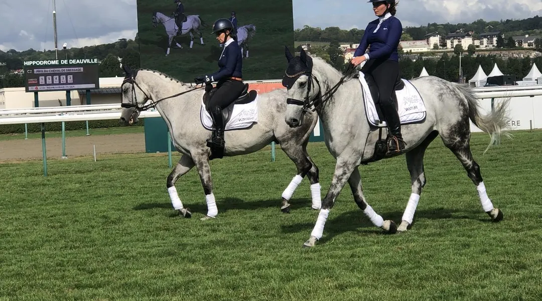 « Voir la deuxième vie des chevaux » : à Deauville, du dressage de chevaux reconvertis fascine