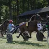 photo deuxième et dernière réunion annuelle après celle du 15 août dernier, sept courses de trot auront lieu à l’hippodrome de vibraye, dimanche 24 août 2025.