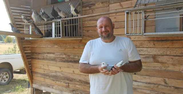 photo  passionné de pigeons voyageurs depuis tout petit, emmanuel houmad, 53 ans, en fait l’élevage pour la course, à clefs (maine-et-loire), à quelques kilomètres de la flèche (sarthe).  &copy;  ouest-france 
