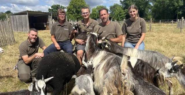 photo  romain roboam, nadège bellanger, baptiste chaufour, gwenaël lhuissier et audrey hamon bichonnent toute l’année les animaux de la ferme de l’arche de la nature.  &copy;  ouest-france 