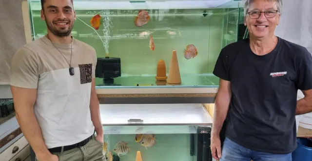 photo  pascal kuerny et son fils florent ont choisi de se spécialiser dans le discus, un poisson tropical originaire d’amérique du sud.  &copy;  co 