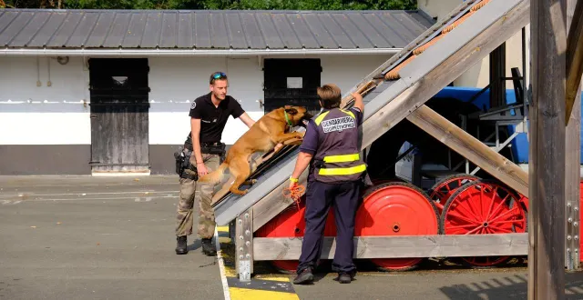 photo  le groupe d’investigation cynophile (gic) de la gendarmerie nationale de maine-et-loire est basé à feneu, au nord d’angers.  &copy;  ouest-france 