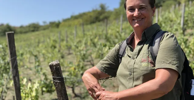 photo  incollable sur les sols, les cépages ou encore l’origine du layon dans la région ou encore la renommée pourriture noble, valérie aubergeon propose des circuits commentés dans le vignoble.  &copy;  co – emmanuel poupard 