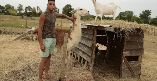 photo  maxime le dréan a créé de toutes pièces un refuge dans lequel il recueille des animaux de la ferme, parfois maltraités. une arche des temps modernes.  &copy;  benoit felace 