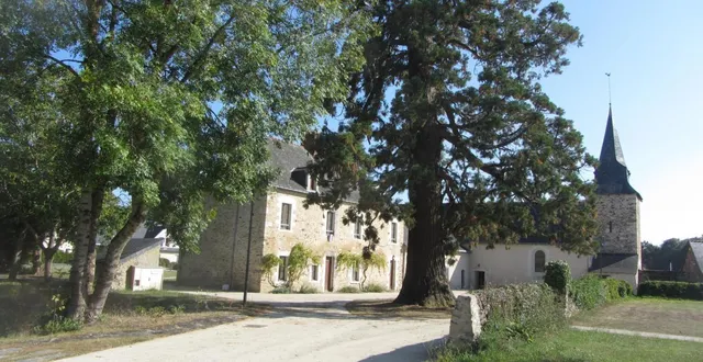 photo  le clos du presbytère est particulièrement accueillant avec son église médiévale et son arbre centenaire qu’éclaire le soir un soleil déclinant.  &copy;  co 