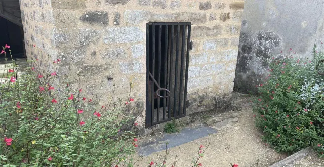 photo  depuis le 22 août 2025, les habitants d’asnières-sur-vègre ne peuvent plus utiliser l’eau de leurs puits en raison d’une contamination fécale.  &copy;  illustration le maine libre 