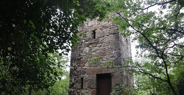 photo  tour du parc celtique dans la forêt de saint-clair-de-halouze.  &copy;  ouest-france 