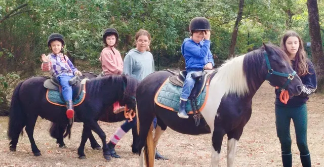 photo  l’animation poney a rencontré un franc succès.  &copy;  co 