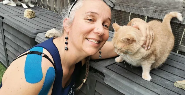 photo  plusieurs chats ont trouvé refuge chez christie.  &copy;  le maine libre 