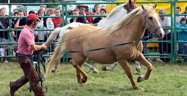 photo  le western est le thème principal de la fête du cheval qui a lieu ce week-end à savigné-l’évêque.  &copy;  archives le maine libre. 