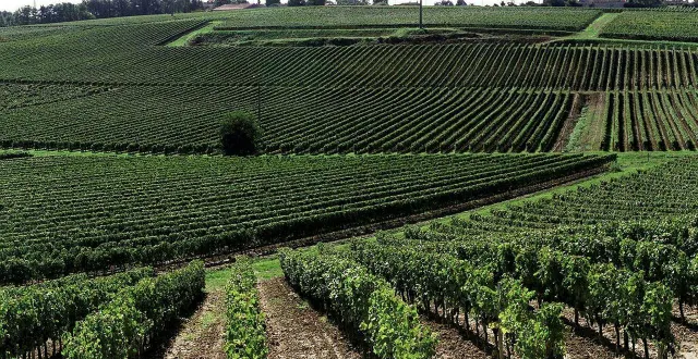 photo  le domaine des quarres s’ouvre au public samedi 30 août 2025 (photo d’illustration).  &copy;  archives ouest-france 