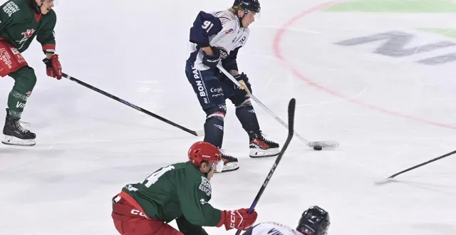 photo  la recrue offensive orrin centazzo s’adapte de mieux en mieux mais doit encore progresser.  &copy;  ouest-france 