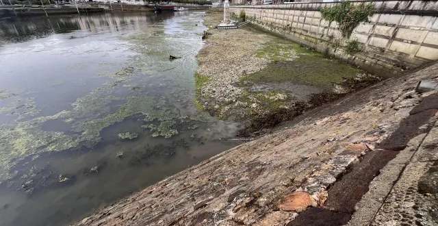 photo  au port du mans, avec l’abaissement des eaux, la saison touristique est terminée.  &copy;  ouest-france. 