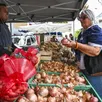 photo  il y a certes des oignons et de l’ail à la foire aux oignons, mais aussi une grande diversité de produits. 