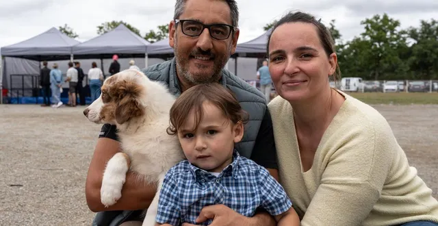 photo  ils sont arrivés à trois et sont repartis à quatre. julie, michael et arthur n’ont pas résisté au regard de ce berger australien.  &copy;  le maine libre – xavier sarrat 
