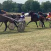 photo  huit courses de trot sont au programme à écommoy. 