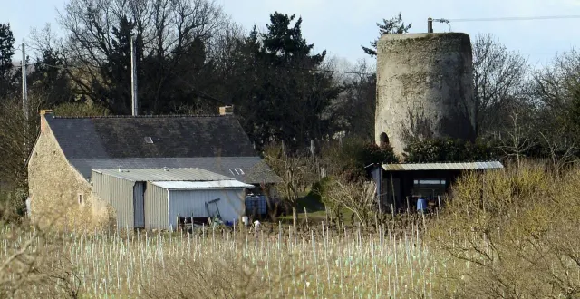 photo  déplacement de la cour d’assises du maine-et-loire à saint-lambert-du-lattay, dans le cadre du procès concernant la mort d’aurélien pioger, un vendangeur retrouvé pendu dans les vignes et qui portait des traces de coups.  &copy;  archives ouest-france 