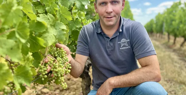 photo  grande fierté de vincent rousseau : la cuvée gabin 2018 avait été retenue parmi les 50 meilleurs vins mondiaux au concours decanter 2020.  &copy;  camille archambault. 