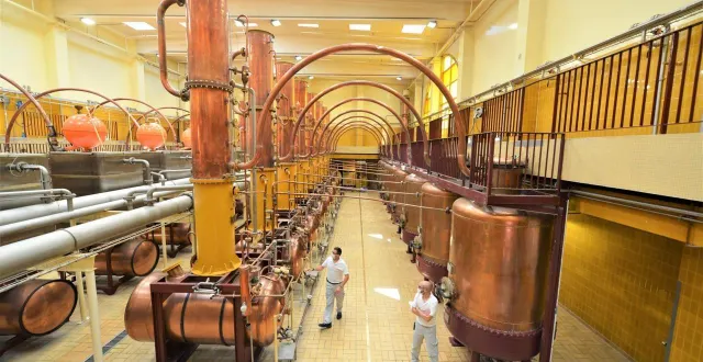 photo  le groupe rémy cointreau a réalisé un chiffre d’affaires de 1 194,1 millions d’euros en 2024.  &copy;  ouest france 