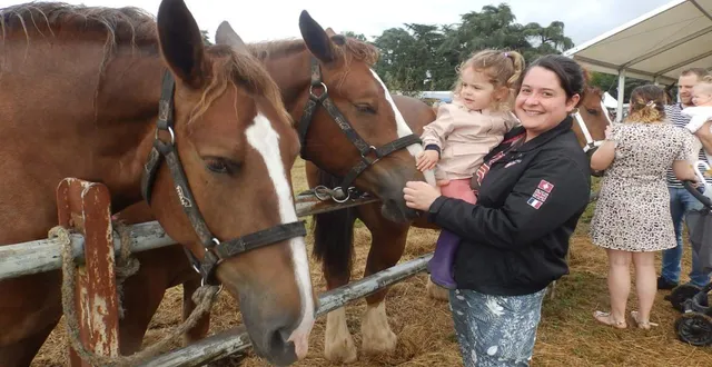 photo  les visiteurs pourront découvrir un joli cheptel.  &copy;  co 