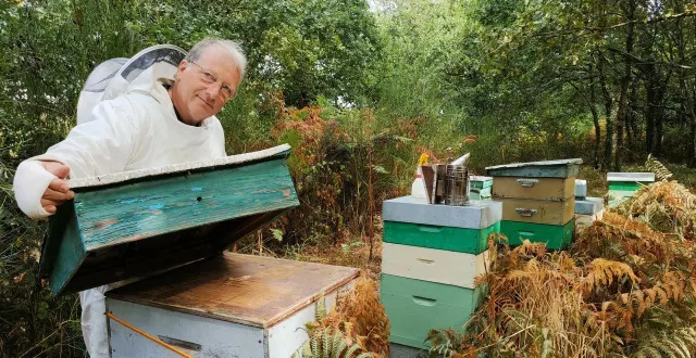 photo  apiculteur à écouflant, jimmy voisine a installé des fougères et du grillage devant l’entrée de ses ruches pour contrer le vol stationnaire des frelons asiatiques.  &copy;  ouest-france 