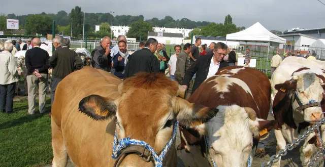 photo  la foire-exposition des 3 jours sera de retour à la ferté-bernard, en sarthe, du vendredi 5 au dimanche 7 septembre 2025.  &copy;  archives ouest-france 