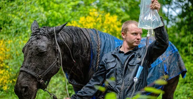 photo  en 2024, le sdis de la sarthe a été engagé à 271 reprises pour des interventions impliquant des animaux.  &copy;  sdis72 