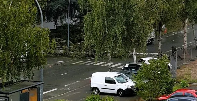 photo  l’arbre s’est couché au milieu de l’avenue de notre-dame du lac, à belle-beille.  &copy;  capture d’écran facebook - mike bannig 