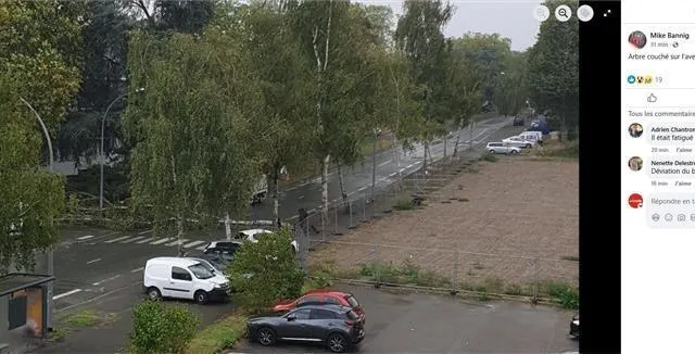 photo sur facebook, un habitant a partagé l’arbre totalement déraciné.  ©  capture d’écran facebook - mike bannig