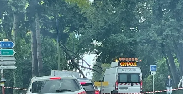 photo  le mans, mercredi 3 septembre. un arbre s’est couché sur la route en direction de l’université, bloquant la circulation.  &copy;  le maine libre 
