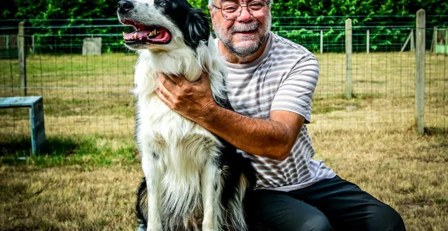 photo  bruno et pixel, ici sur leur terrain de jeux, au club cynophile du pays du maine, à changé.  &copy;  le maine libre – yvon loue 