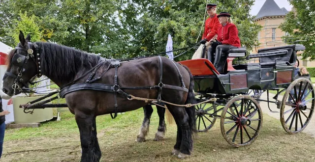 photo  le haras du pin sera présent pour une présentation à 13 h 30 et à 15 h 45. attelage en déambulation toute la journée.  &copy;  archives ouest-france 