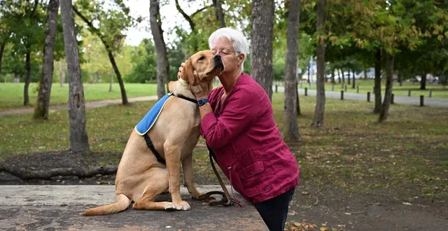 photo  angers, lac de maine, 4 septembre 2025. vally et anne gudin, une complicité qui va durer deux ans. le temps d’éduquer cette chienne qui accompagnera ensuite, au quotidien, une personne atteinte de déficience visuelle.  &copy;  co – josselin clair 